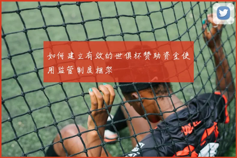 如何建立有效的世俱杯赞助资金使用监管制度框架