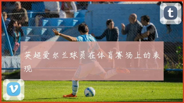 英超爱尔兰球员在体育赛场上的表现